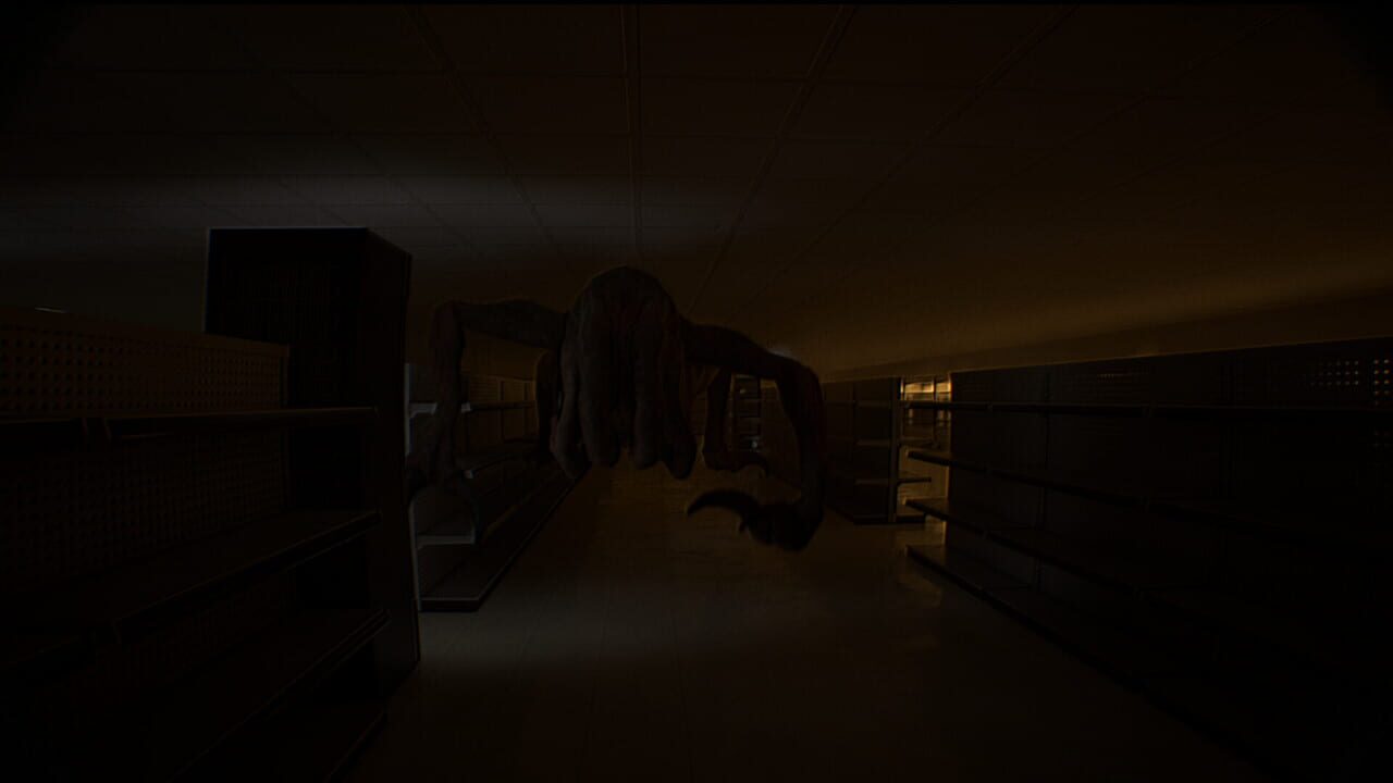 Backrooms: Rogue 0 — Screenshot 5