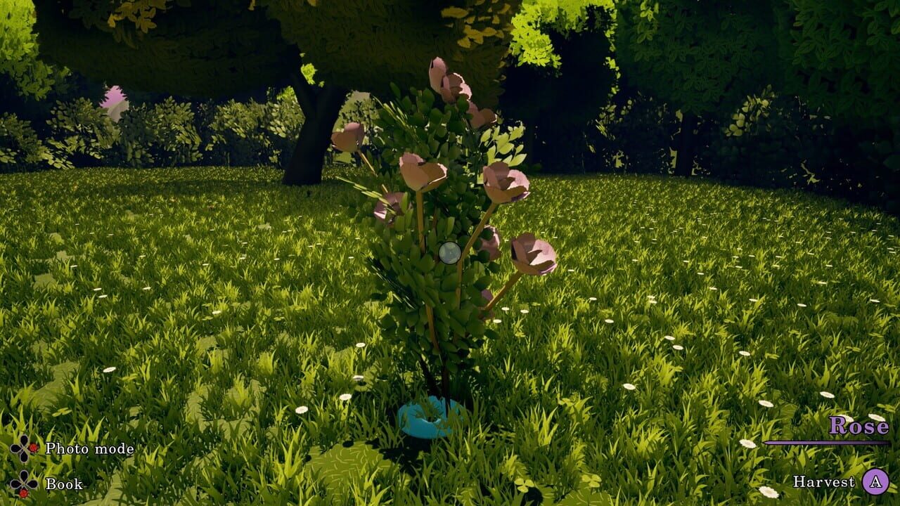 Flowerbloom Cottage — Screenshot 4