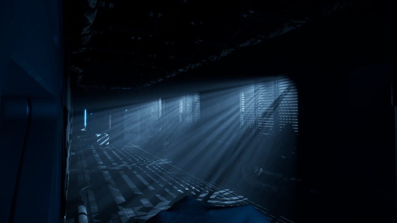 The Dark Curiosity Image