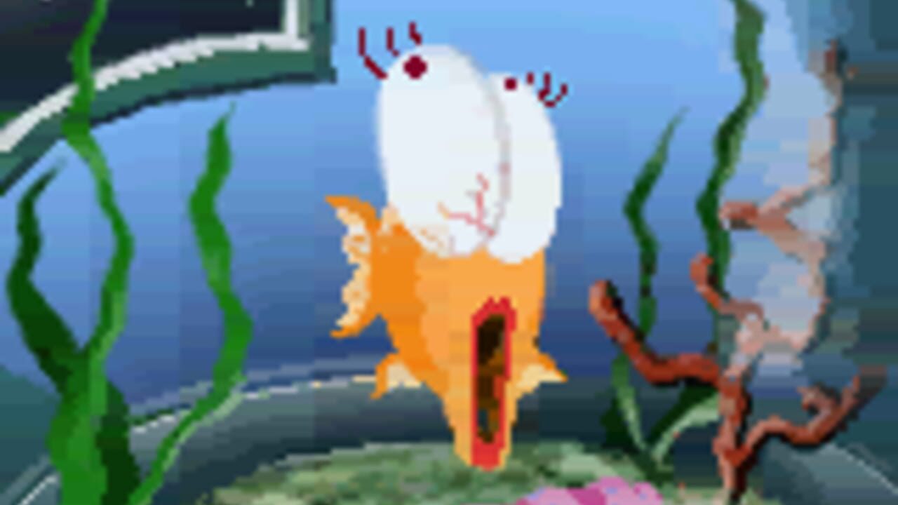 The Fish Files thumbnail 4