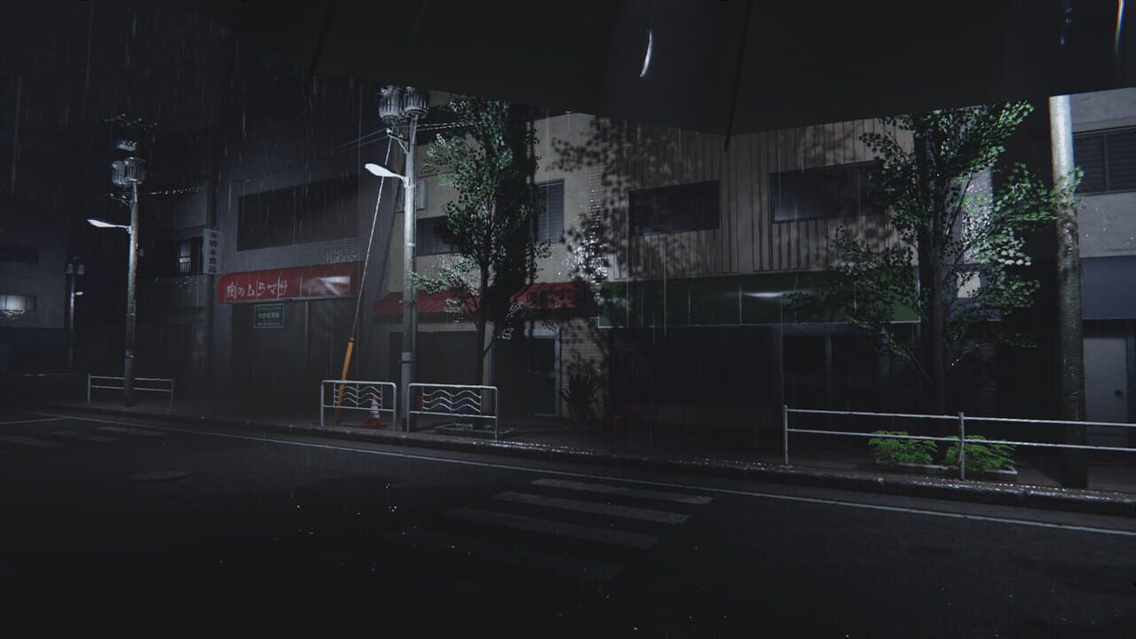 The Night Cleaner Image