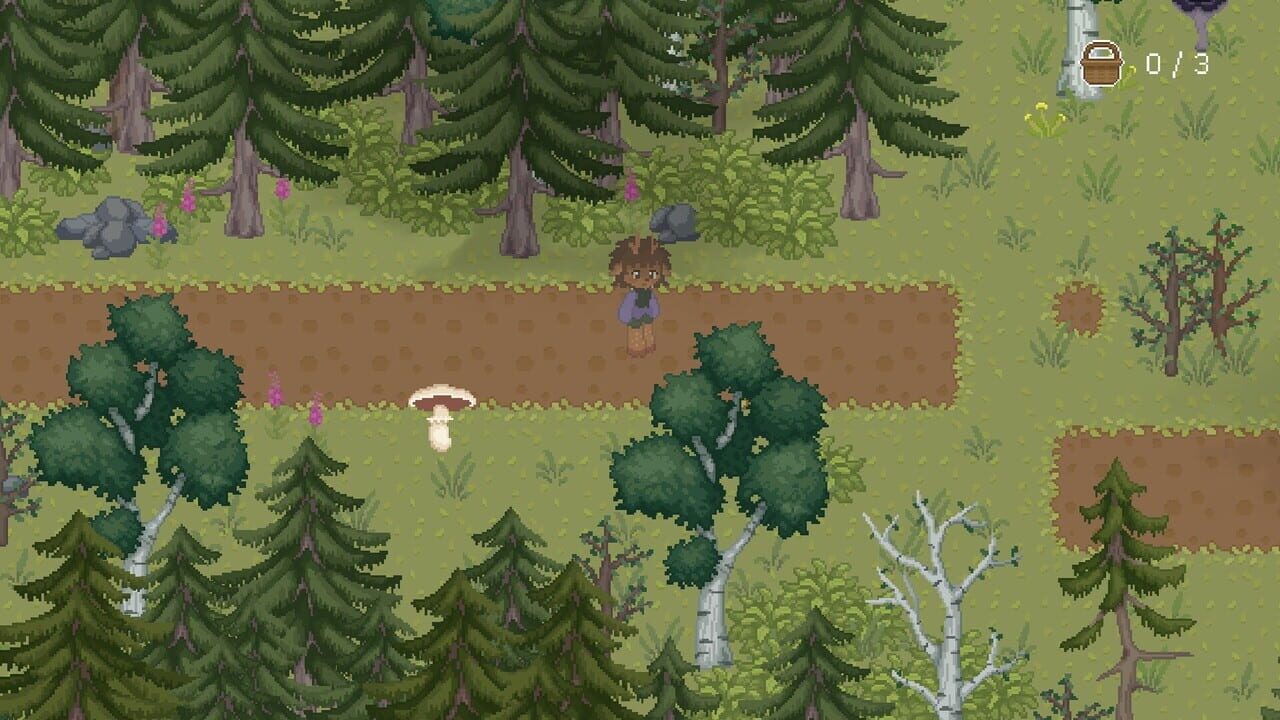 The Mushroom Journal — Screenshot 1
