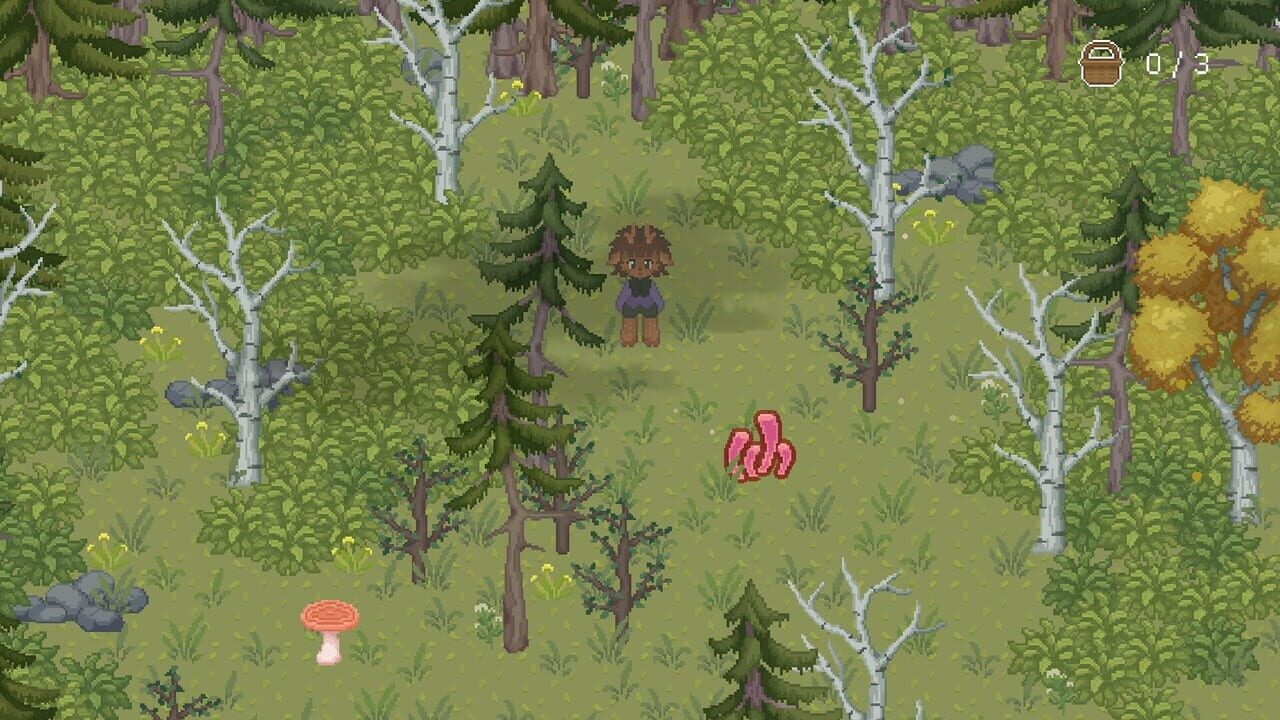 The Mushroom Journal — Screenshot 4