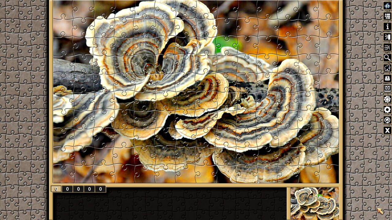 Pixel Puzzles Traditional Jigsaws: Forests Image