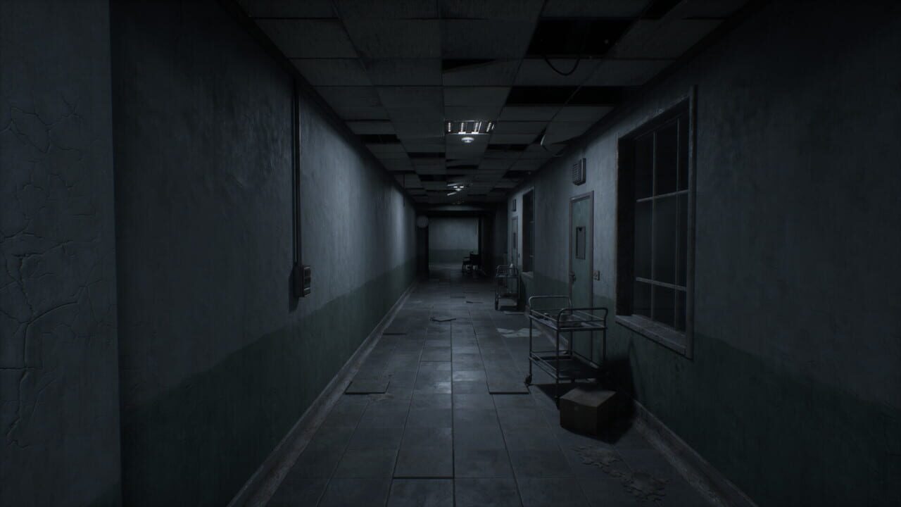 Asylum 45 Image
