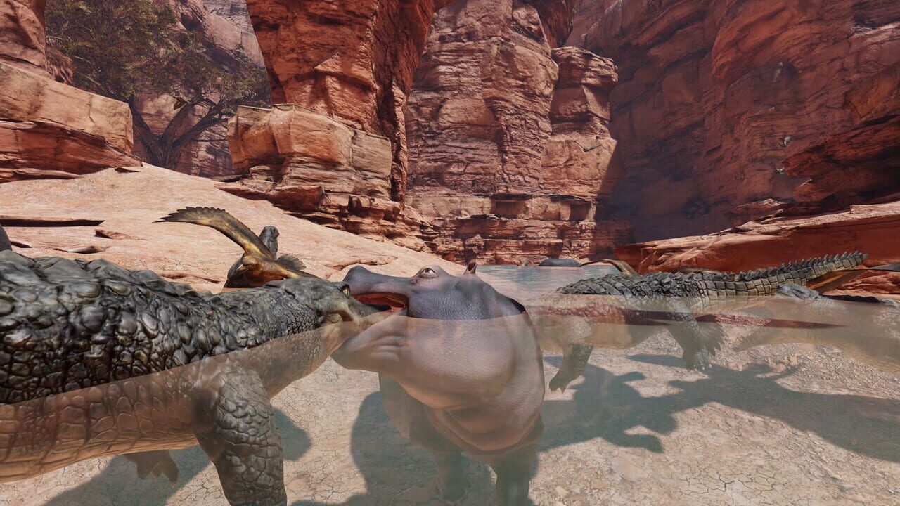 Food Chain — Screenshot 2