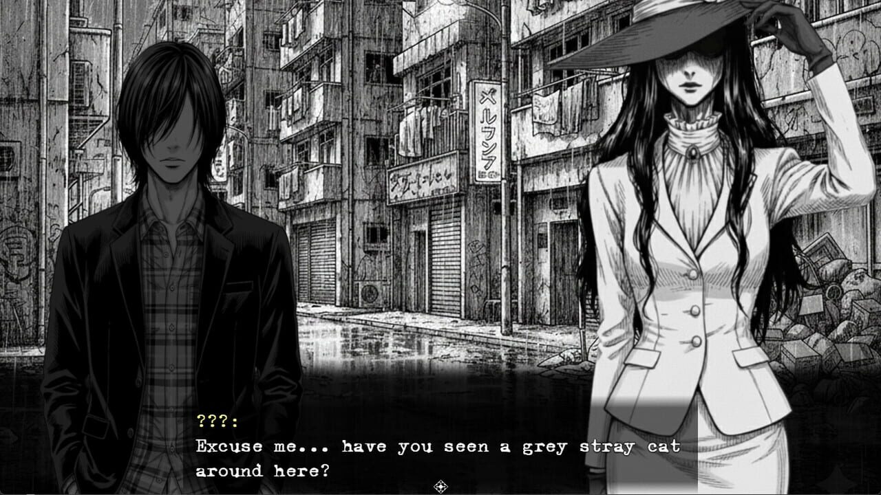 The Lucky Stray Cat media