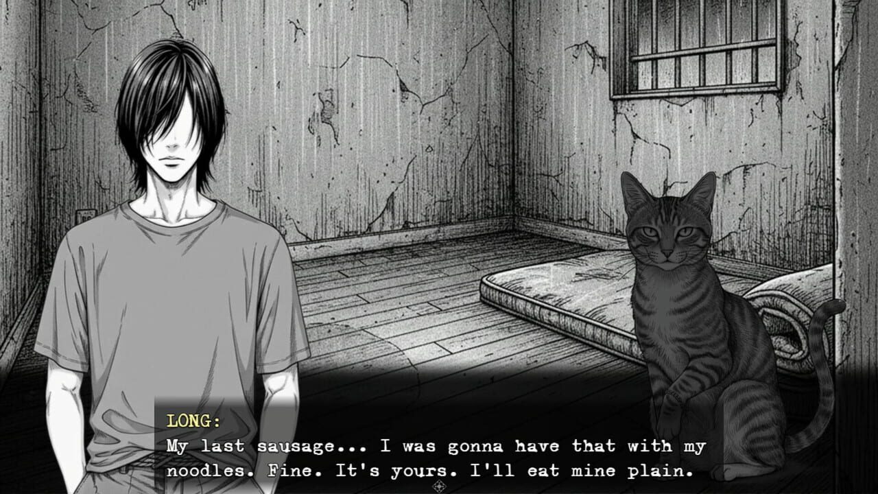 The Lucky Stray Cat Image