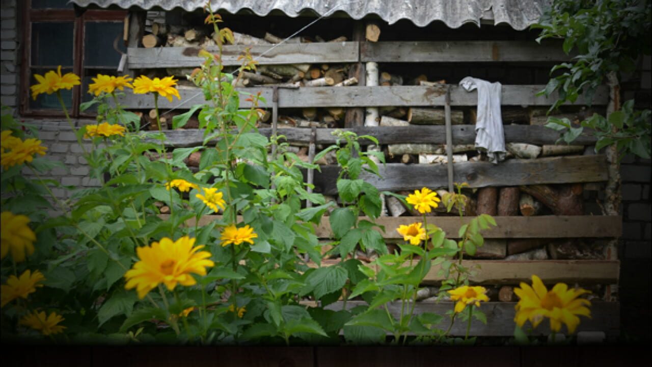 Garden Door — Screenshot 3