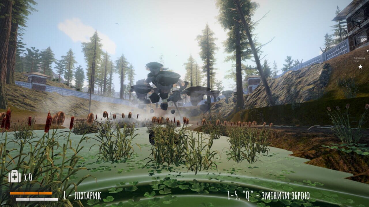 The Hollow Image