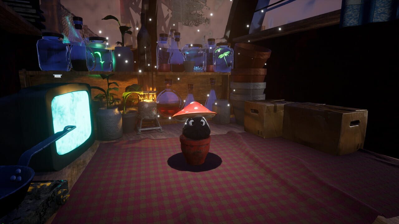 Okiro — Screenshot 1