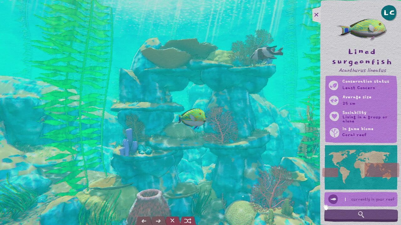 Turquoise screenshot 3