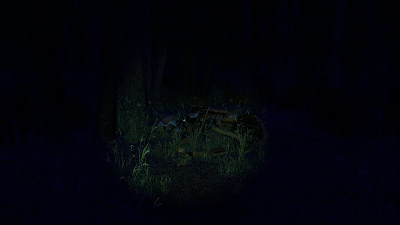 Screenshot 13