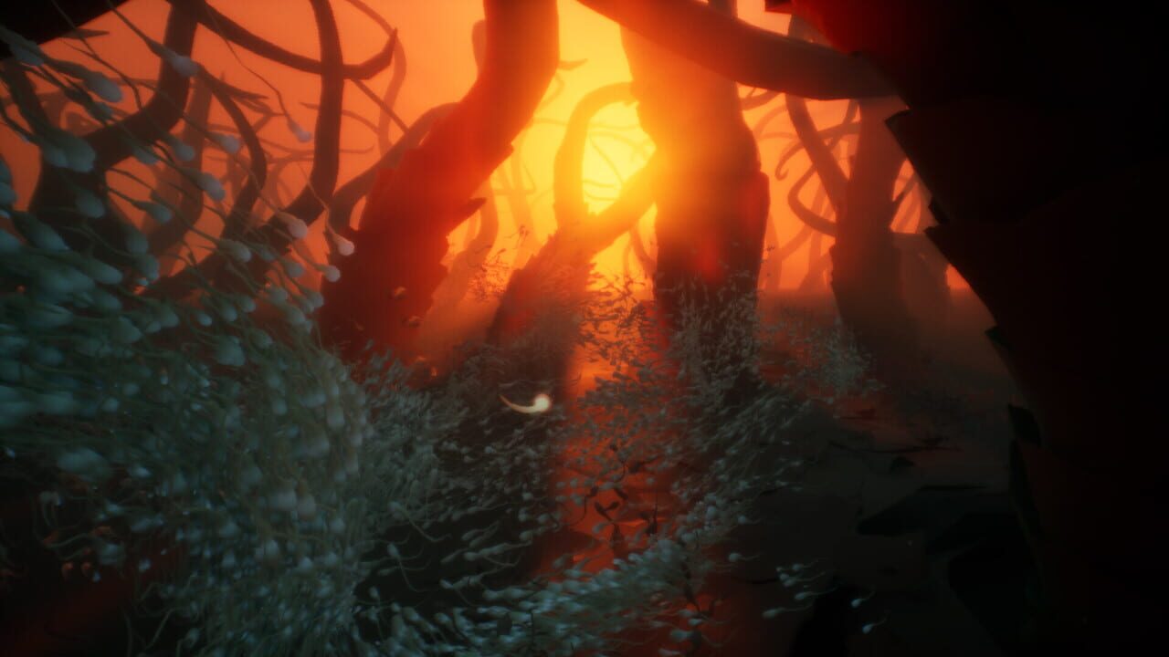 Become screenshot 3