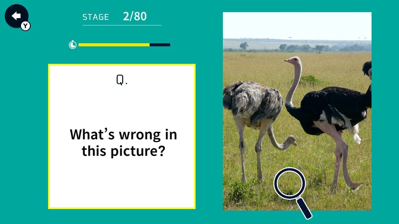 Snapshot Oddities! Find What's Wrong media