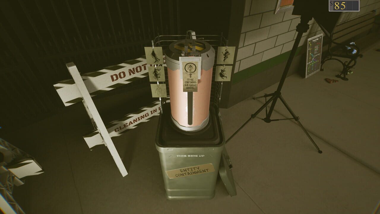 Anomalous Cleaning Detail Image