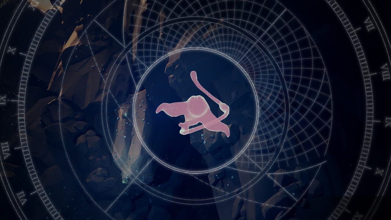 Star Catcher Image