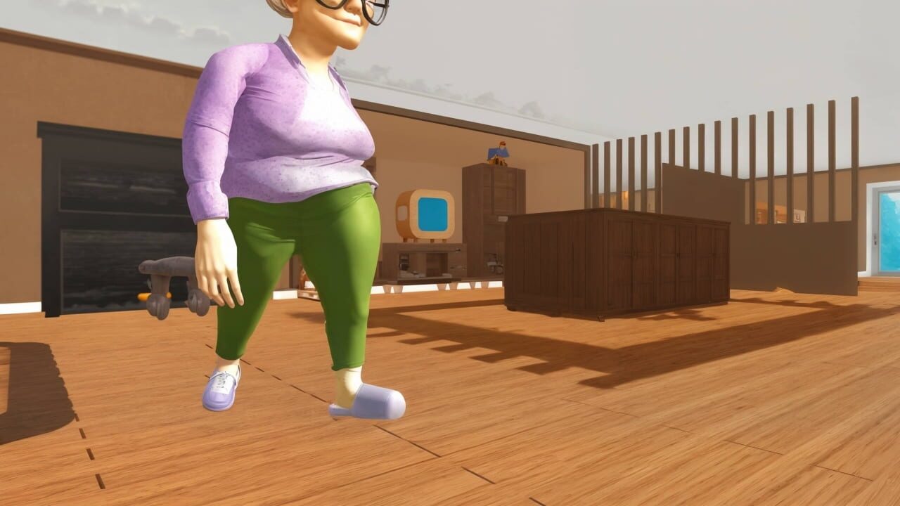 Bad Cat Angry Granny media