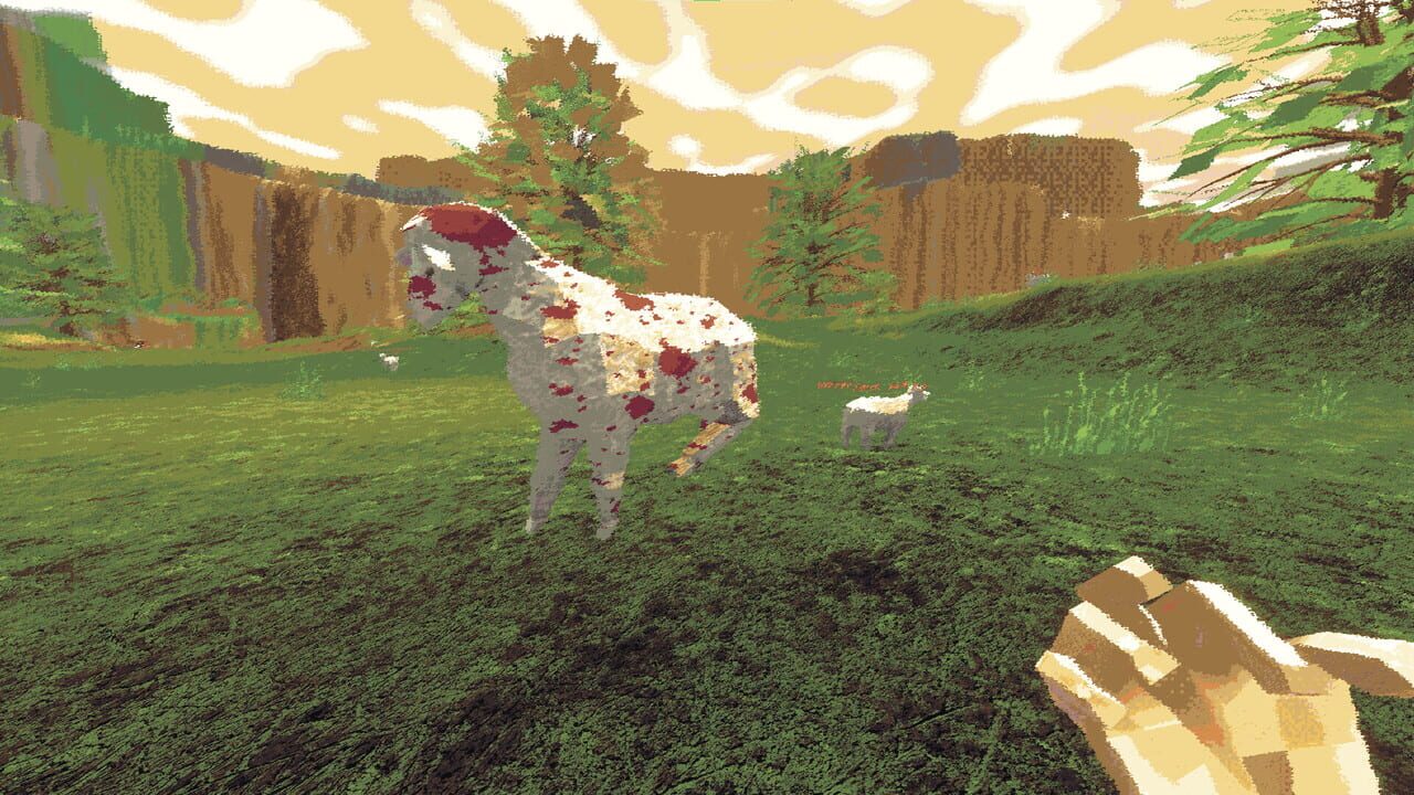 Sheeps Image