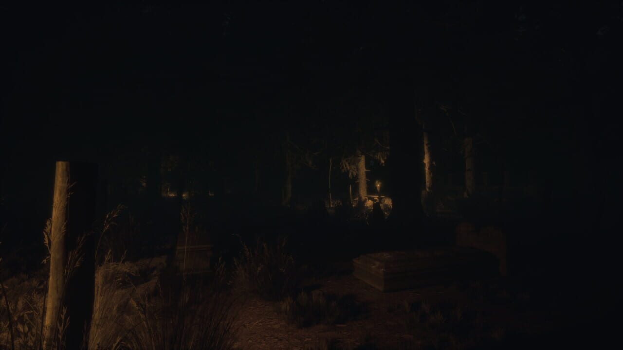 Untold Memories: Potter's Field screenshot 8