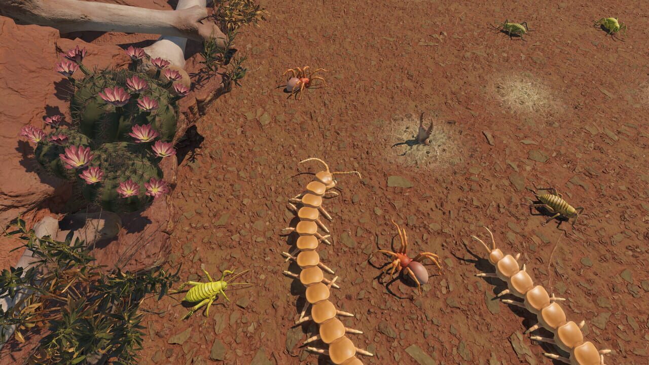 Centipede Simulator Image