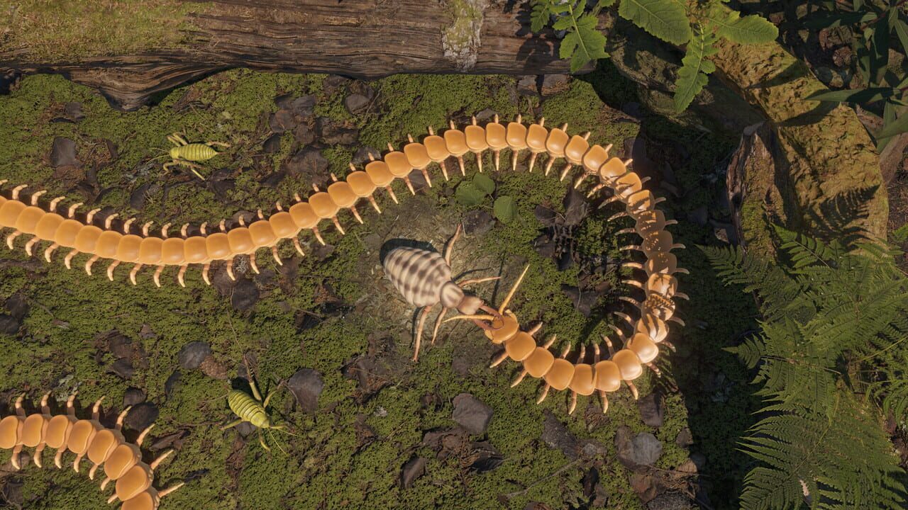 Centipede Simulator Image
