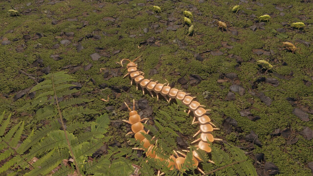 Centipede Simulator Image