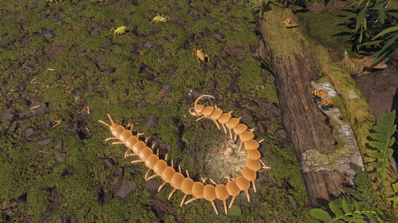 Centipede Simulator Image