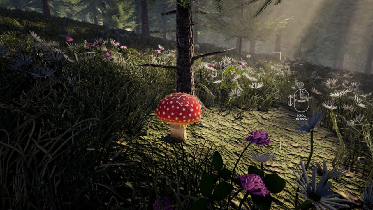 Forager's Finds Image