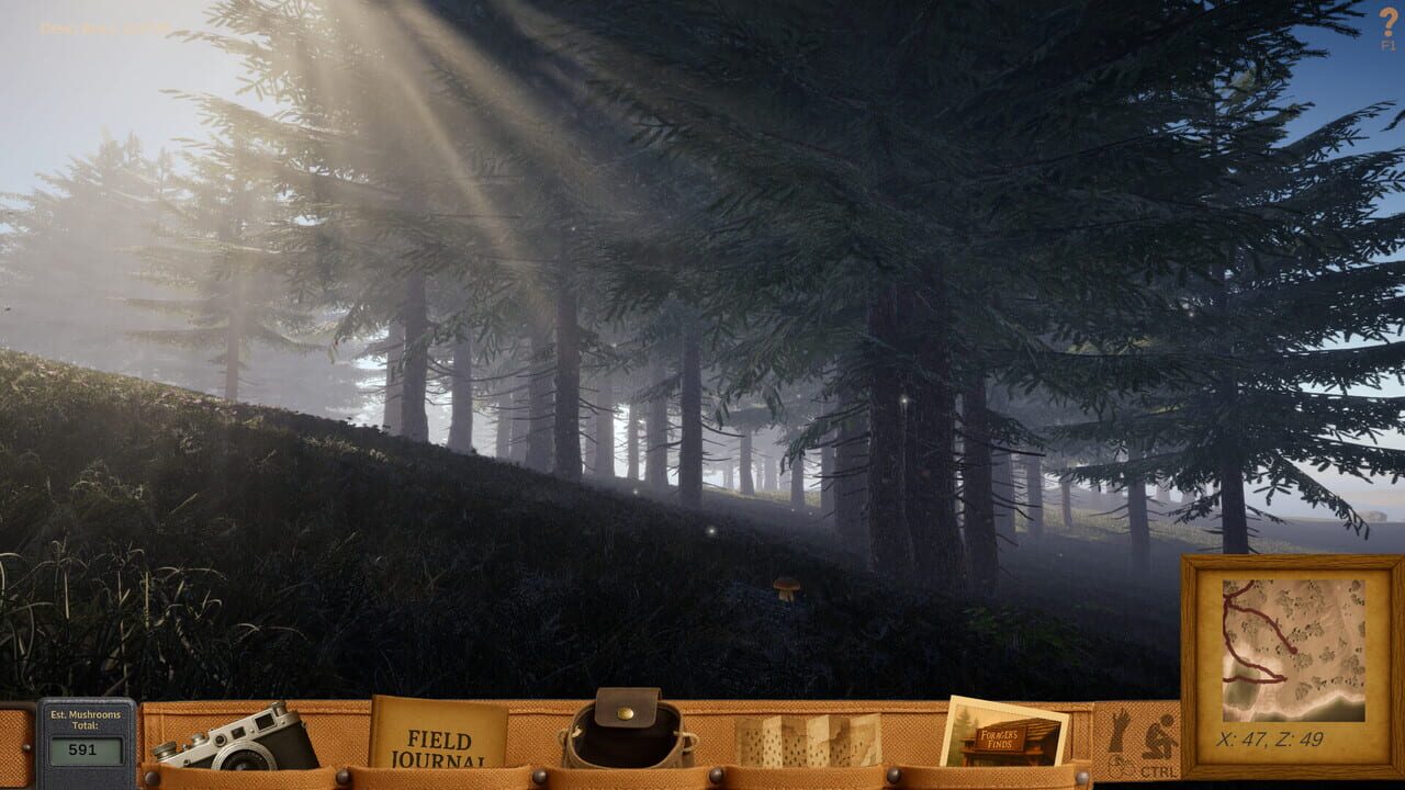 Forager's Finds Image