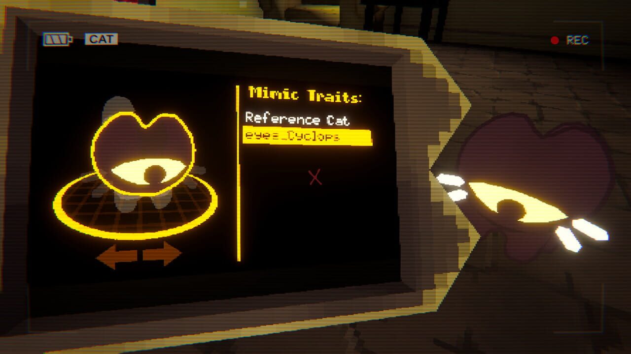 Have You Seen This Cat? Image