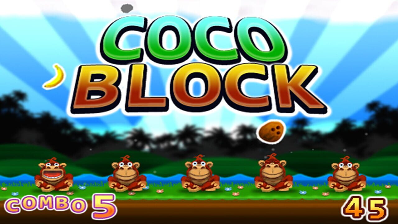 Coco Block Image