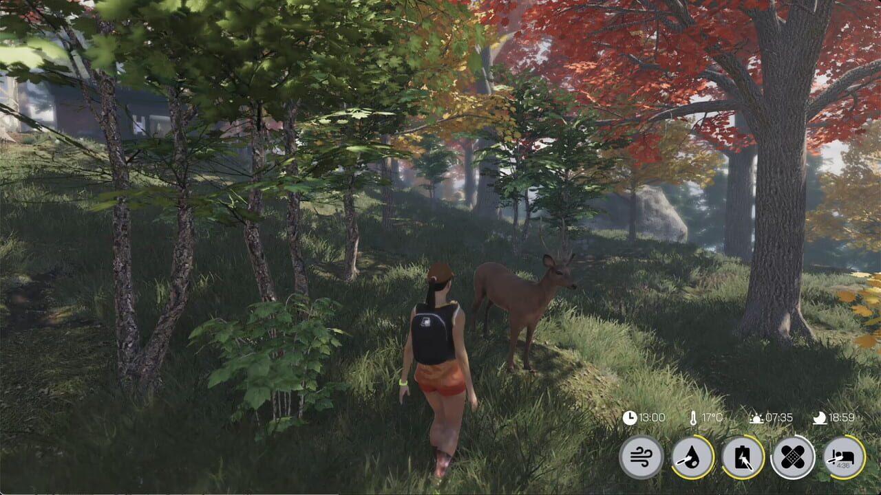 Distant Trails Screenshot 1