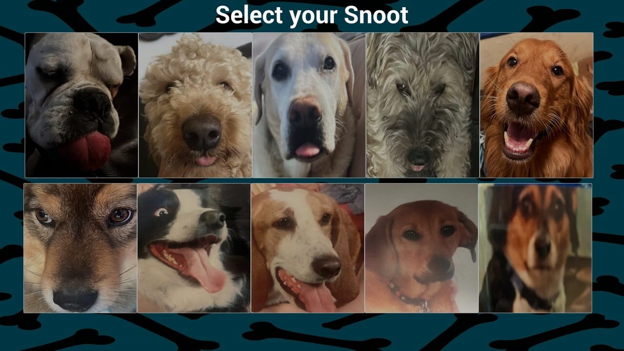 Snoot Booper Image