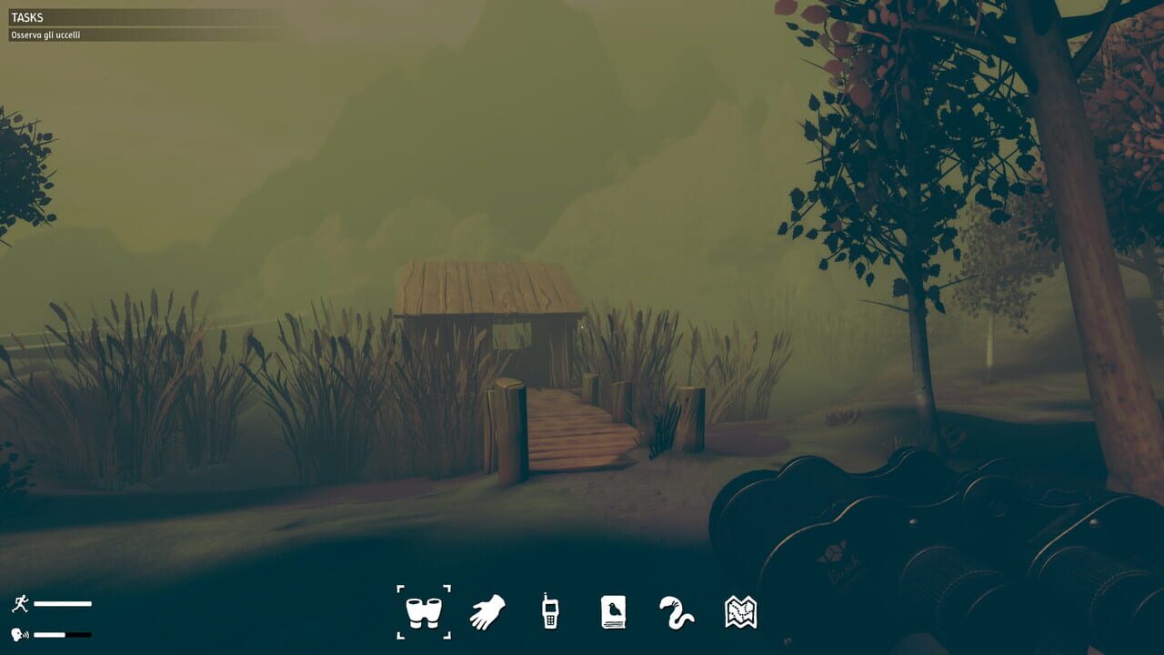 Birds Watching screenshot 1