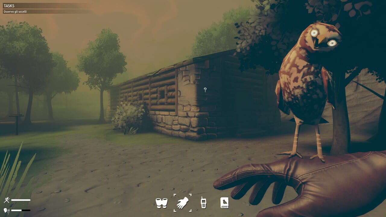 Birds Watching screenshot 2