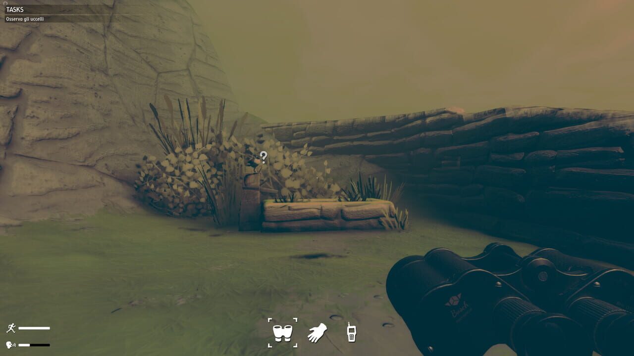 Birds Watching screenshot 5
