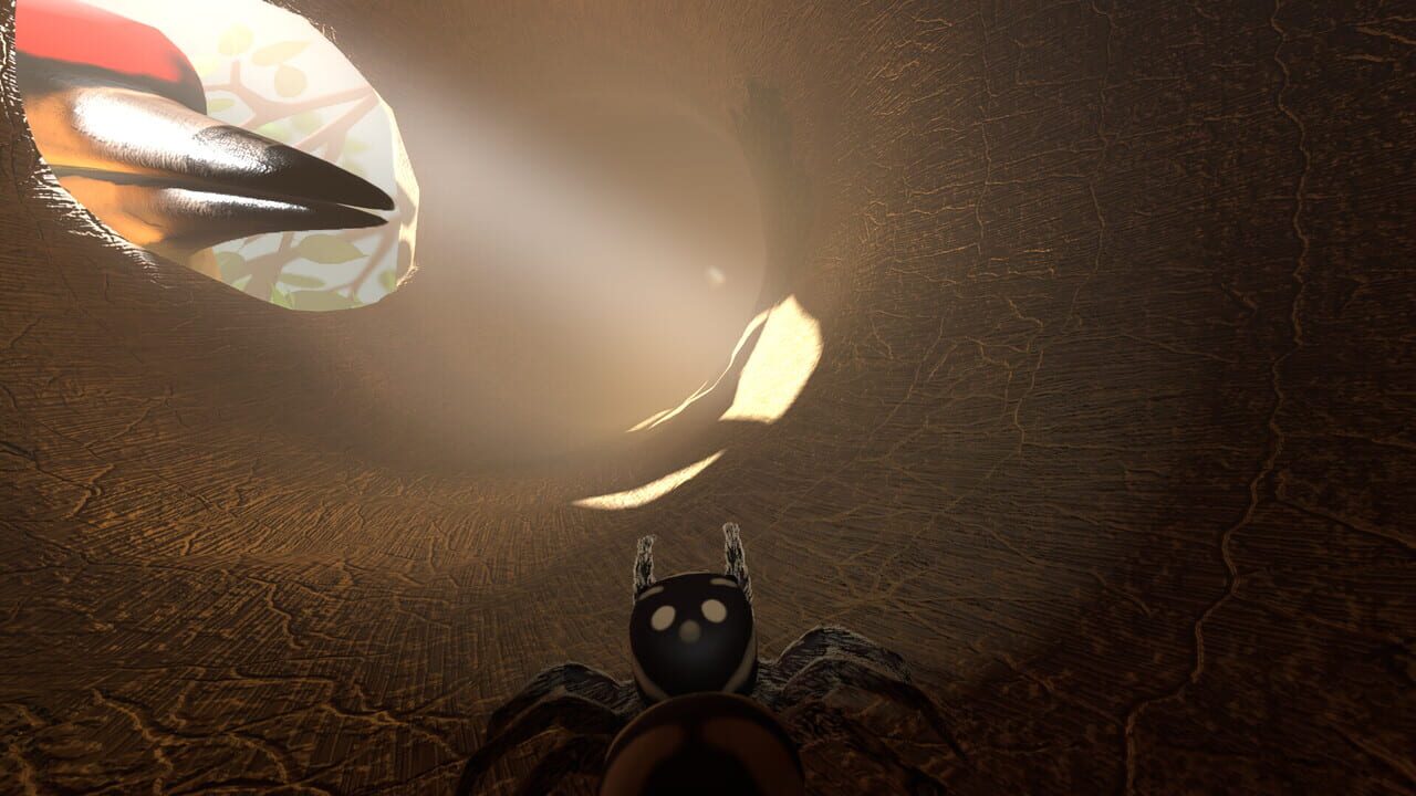 A little Jumpingspider's Garden Adventure (Day 1+2) screenshot 11