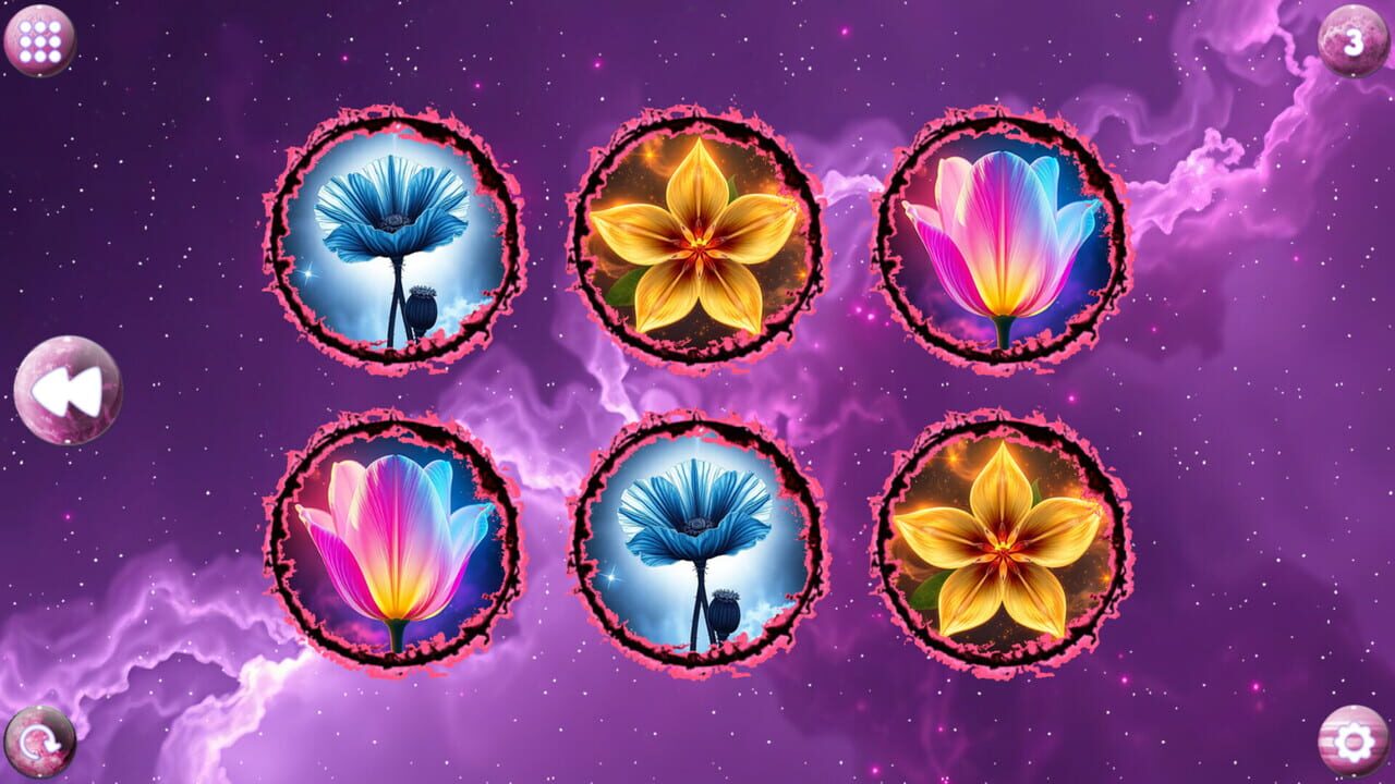 Space Memory: Flowers Image