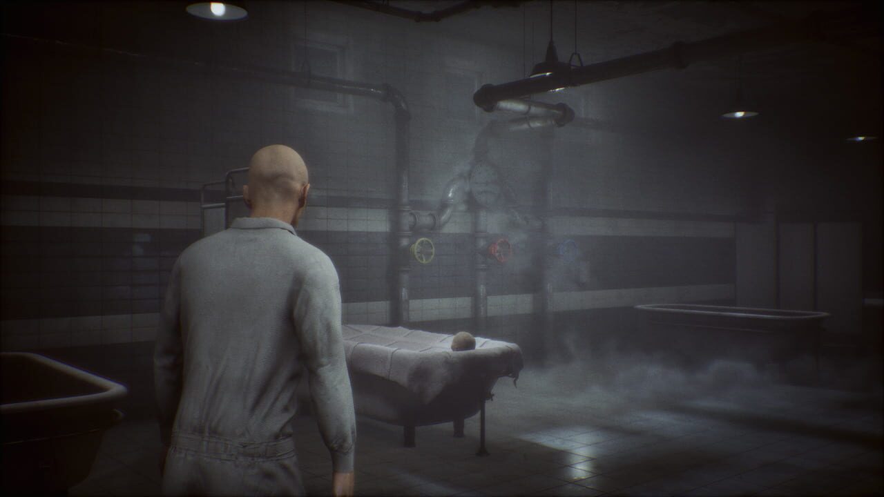Phantom Lamb Image