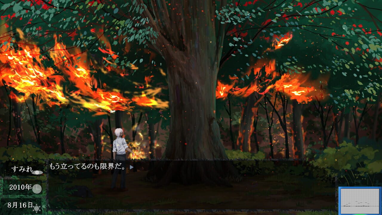 Colors/Forest Image
