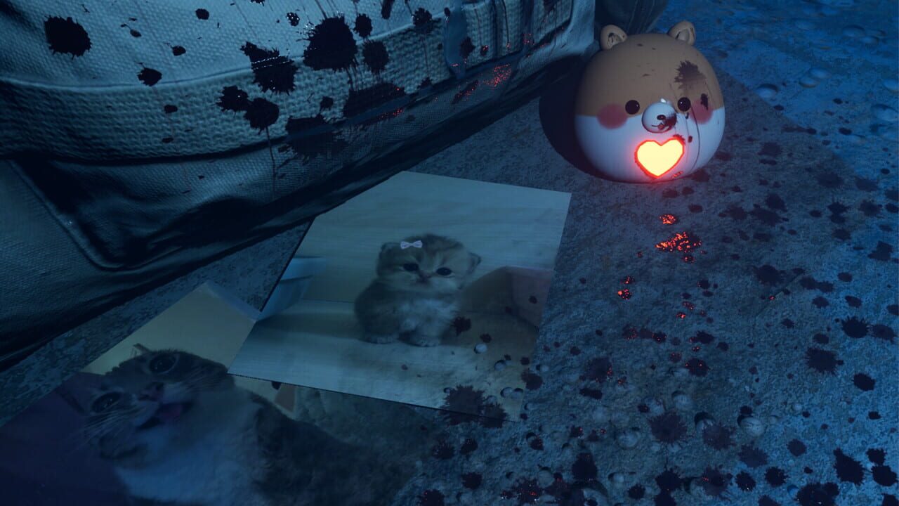 LiveStream Image