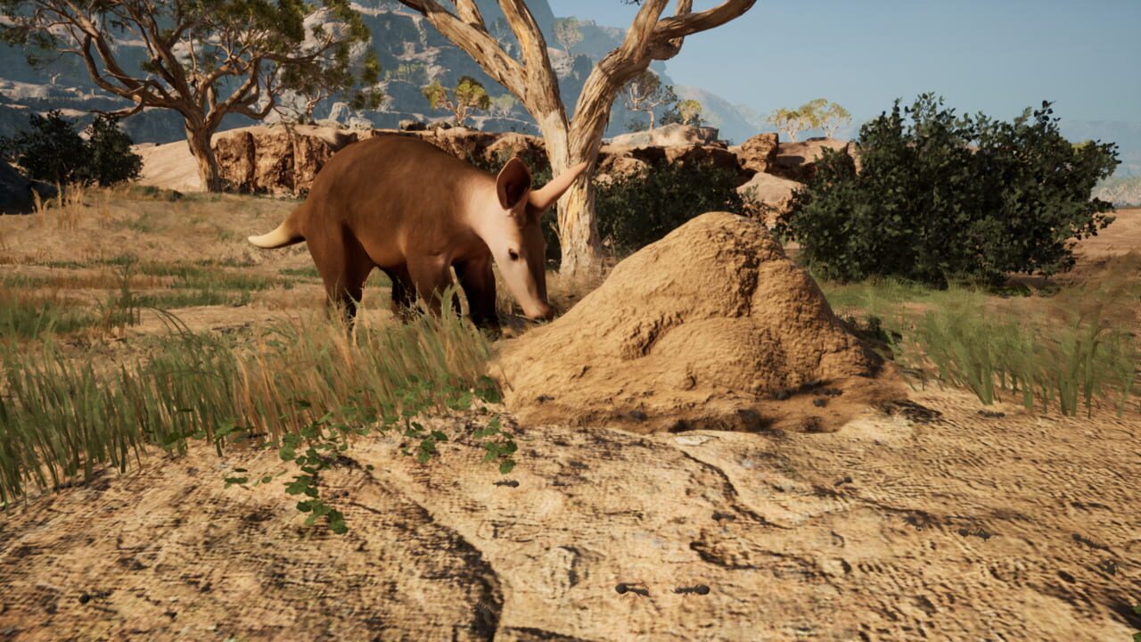 Primal Survival Image