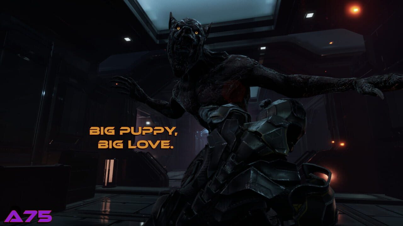 Screenshot 24