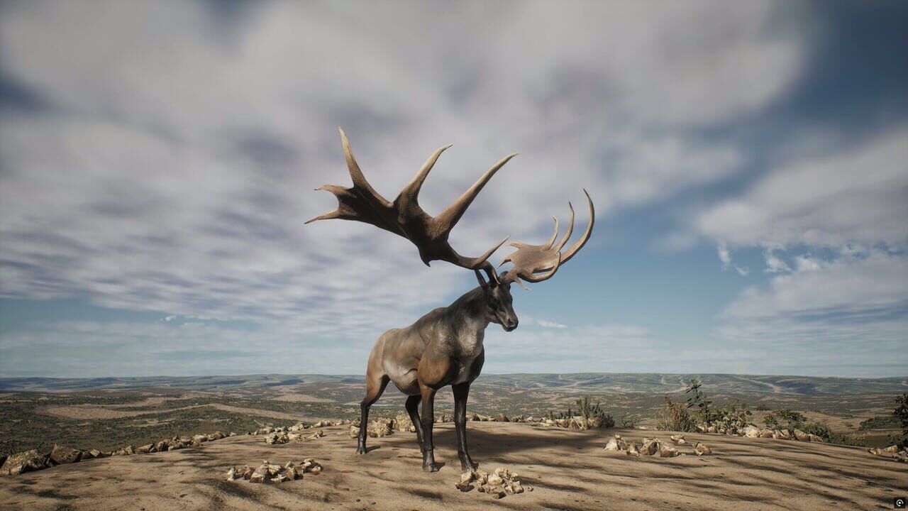 Project Hunt: Lone Star Hunting Ranch Image