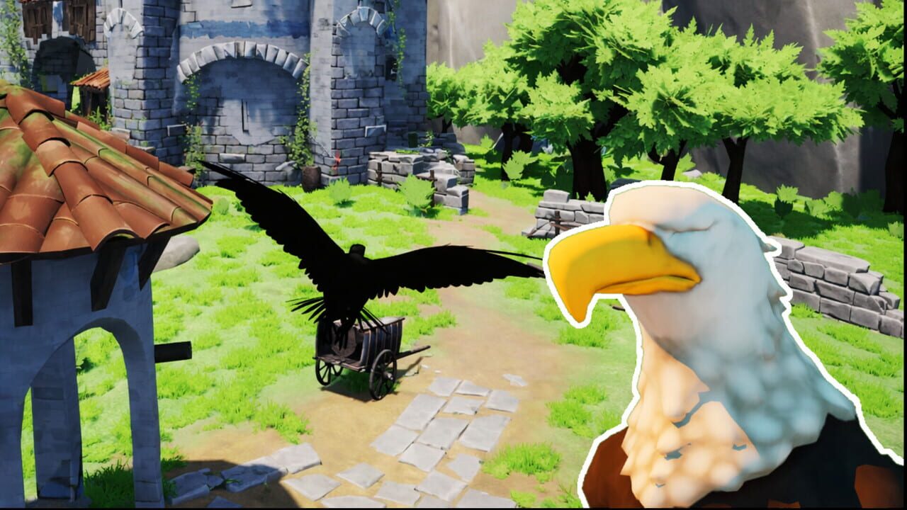 Bird Game Image