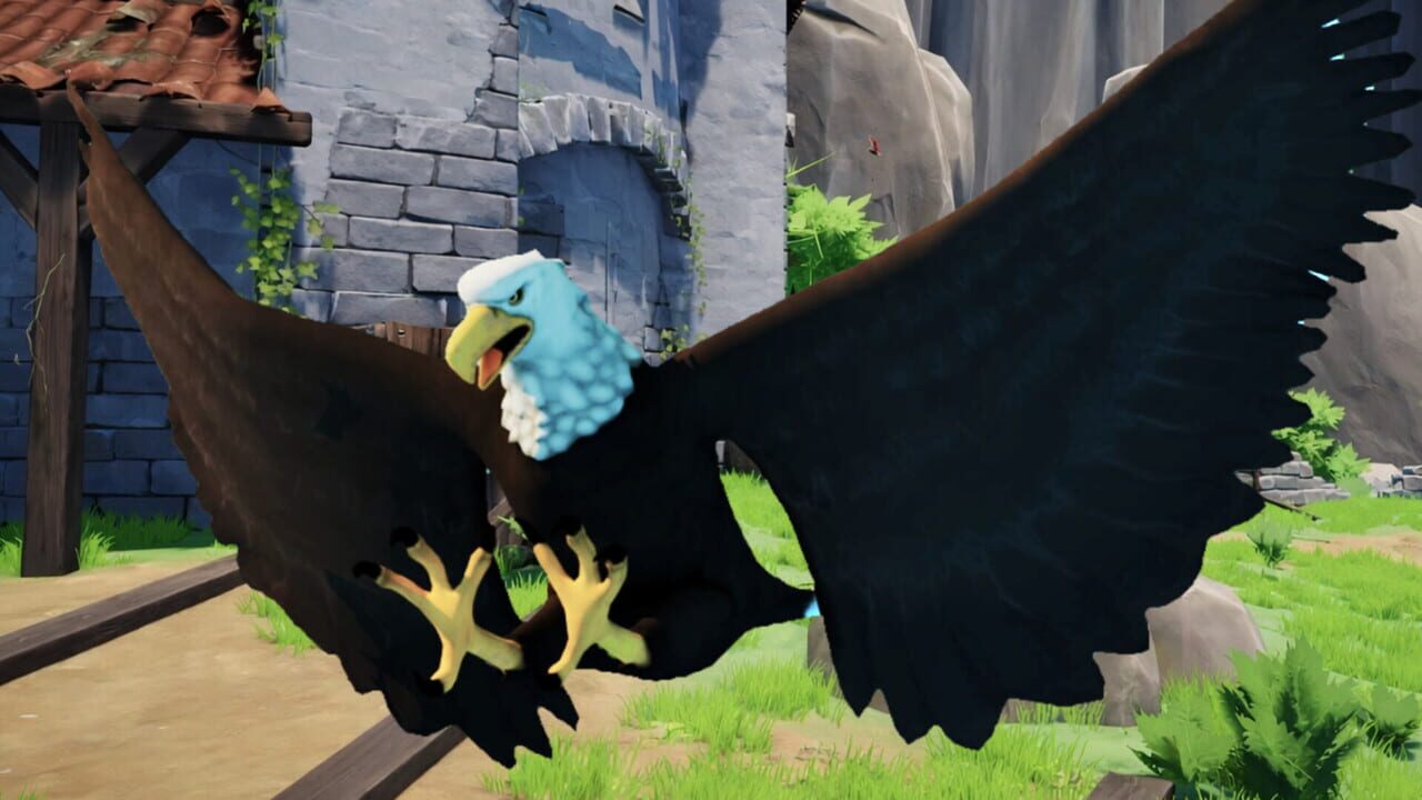 Bird Game Image
