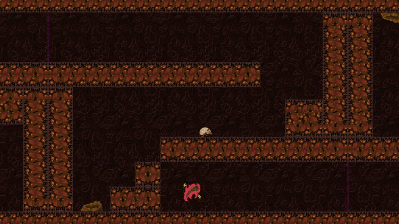 Non-Orientable Cicada Crawl — Screenshot 3