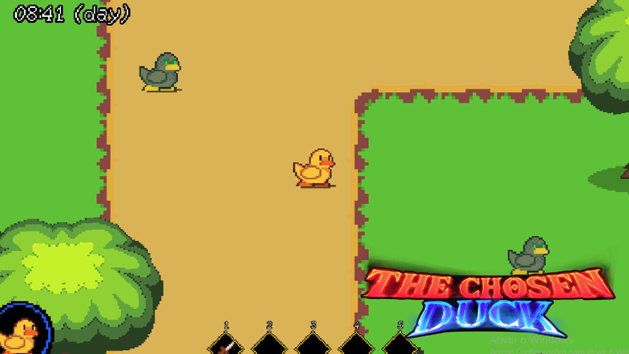 The Chosen Duck Image
