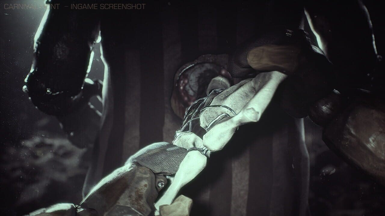 Carnival Hunt screenshot 9